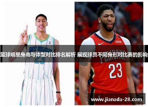 篮球明星身高与体型对比排名解析 展现球员不同身形对比赛的影响