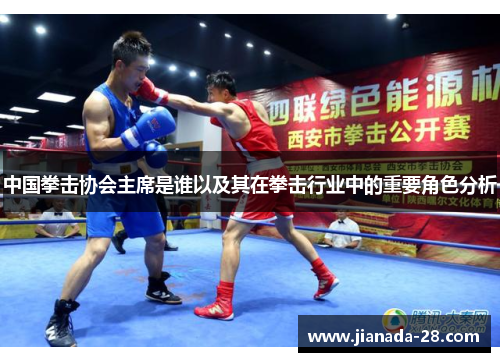 中国拳击协会主席是谁以及其在拳击行业中的重要角色分析