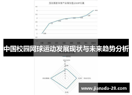 中国校园网球运动发展现状与未来趋势分析